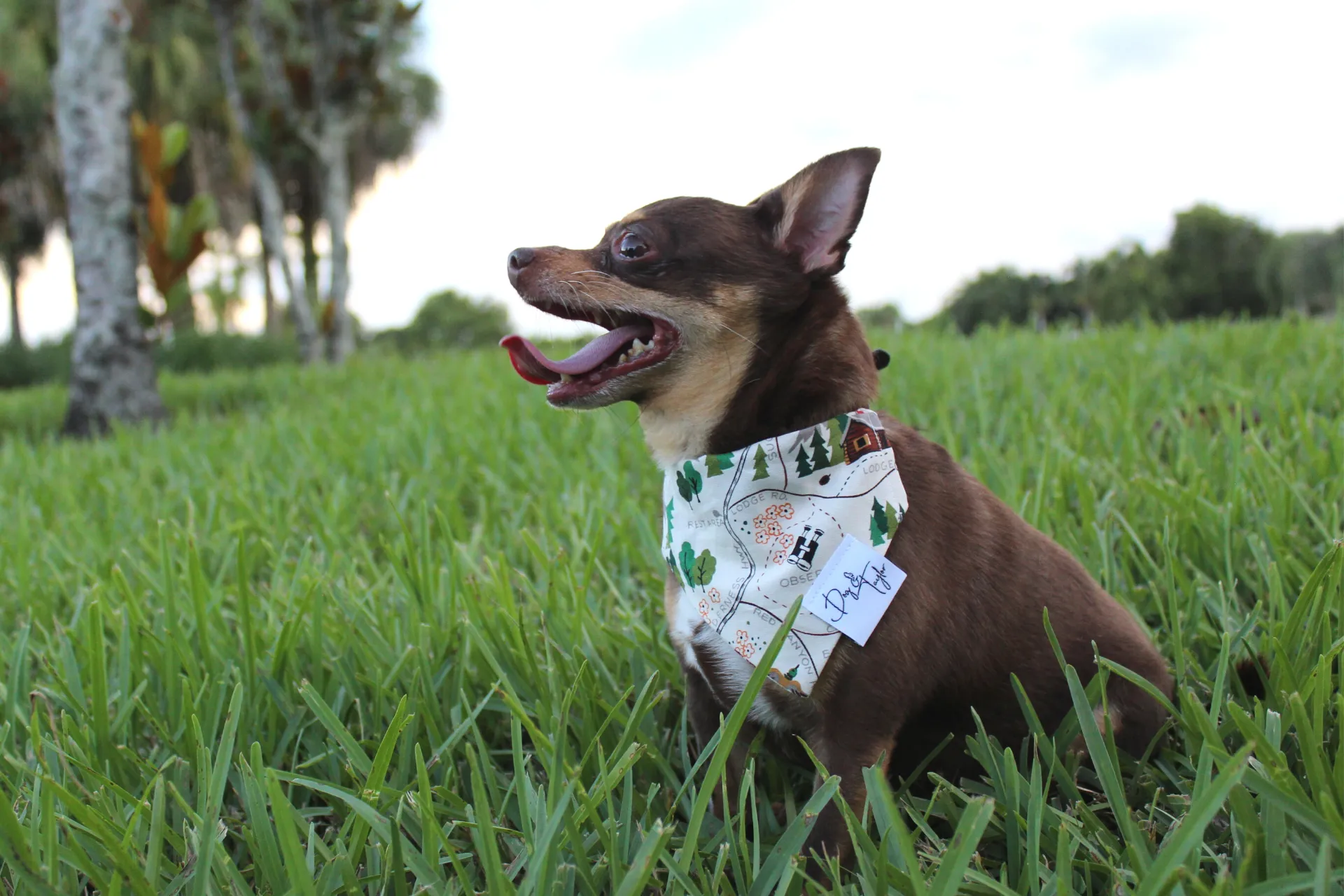 Ski Trip Dog Bandana